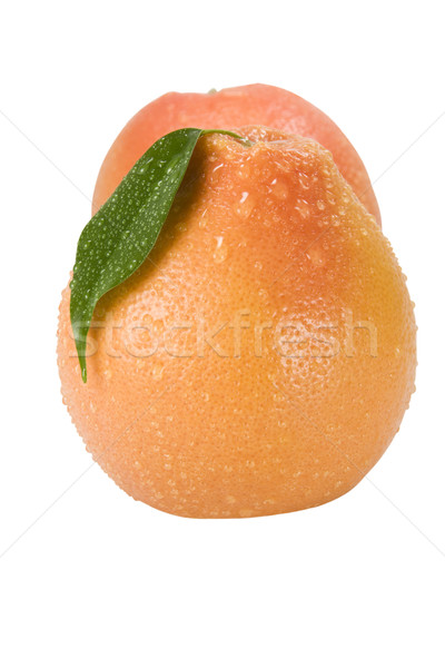 Two grapefruit with drops of dew Stock photo © stokato