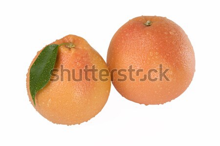 One orange with drops of dew on a white Stock photo © stokato