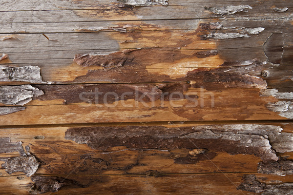 Natural wooden background Stock photo © stokato