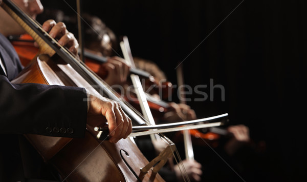 Symphony concert, a man playing the cello, hand close up Stock photo © stokkete