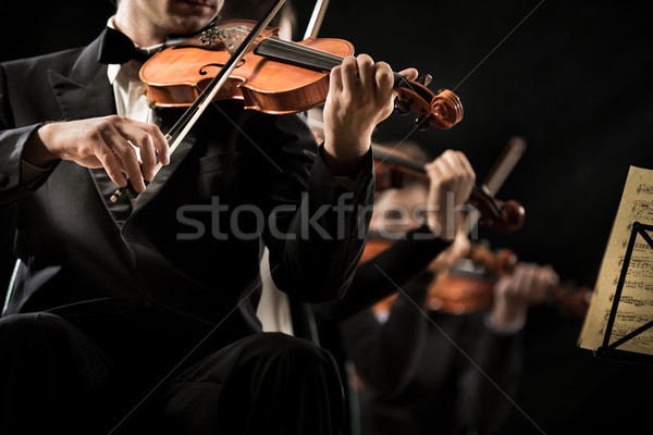 Violon orchestre stade sombre artiste [[stock_photo]] © stokkete