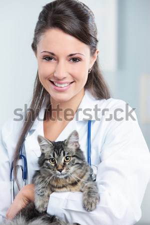 Katze Frau schöne Frau lächelnd halten cute Stock foto © stokkete