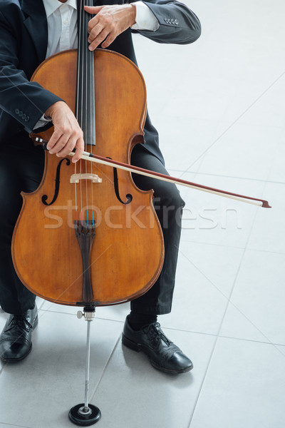 Profi csellista játszik hangszer férfi cselló Stock fotó © stokkete