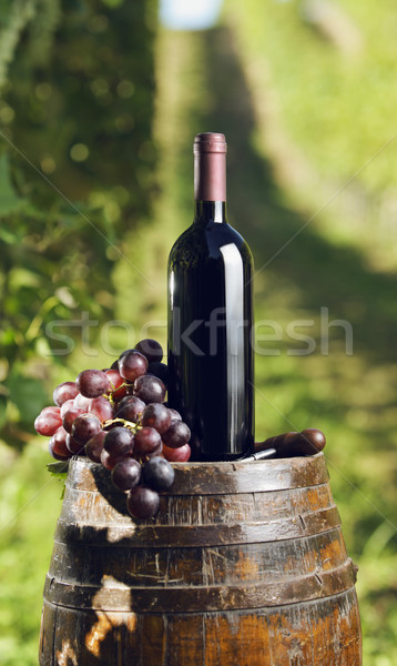 [[stock_photo]]: Vin · rouge · bouteille · vieux · baril · vignoble · vin