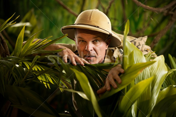 Aventurier plante ascunzatoare pădurile tropicale junglă Imagine de stoc © stokkete