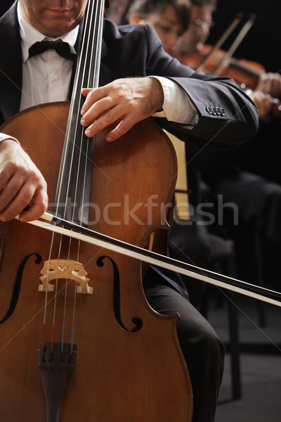 Klassische Musik Cellist Symphonie Konzert Mann spielen Stock foto © stokkete