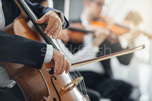 Senfoni orkestra performans dizi bölüm klasik müzik Stok fotoğraf © stokkete