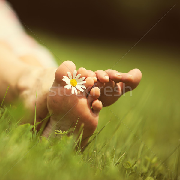 Summer feelings Stock photo © stokkete