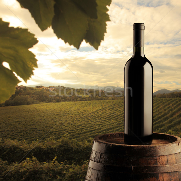紅葡萄酒 瓶 桶 葡萄園 木 日落 商業照片 © stokkete