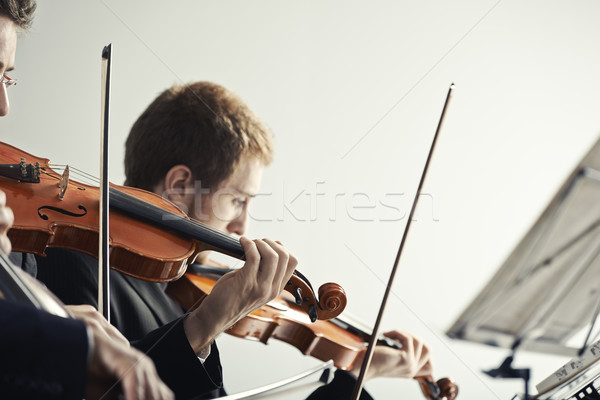 Klasik müzik konser oynama müzik keman erkek Stok fotoğraf © stokkete