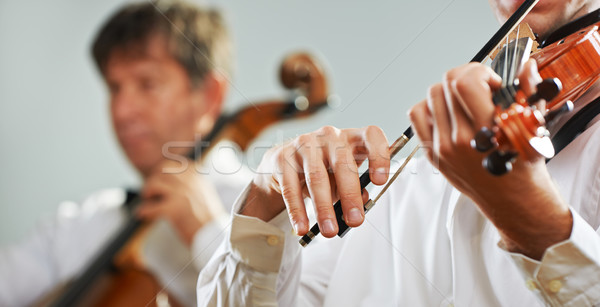 Violonist muzica clasica joc concert bărbaţi vioară Imagine de stoc © stokkete