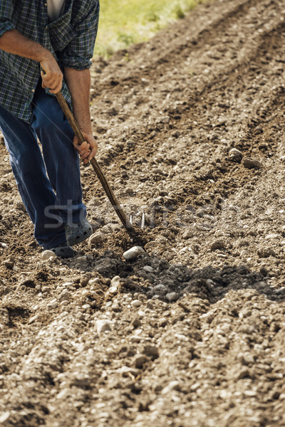 Landbouwer werken velden vruchtbaar bodem schoffel Stockfoto © stokkete