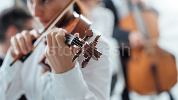 Zdjęcia stock: Utalentowany · skrzypek · gry · orkiestrę · kobiet · skrzypce