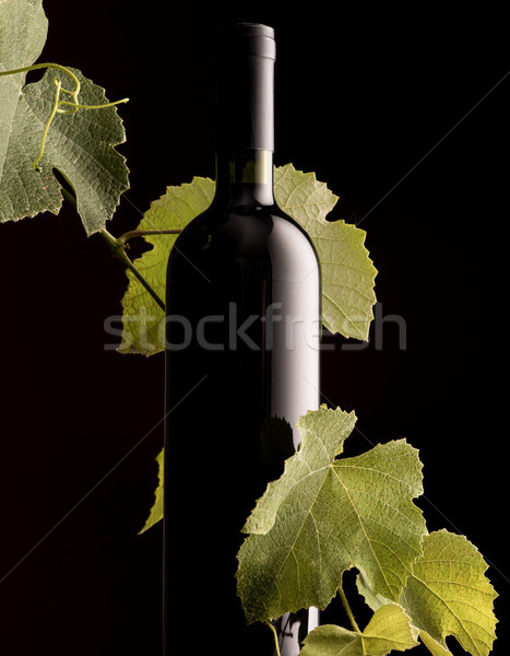 Rew wine bottle with vine branch Stock photo © stokkete