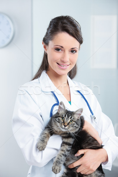 健康 猫 肖像 笑みを浮かべて 女性 獣医 ストックフォト © stokkete