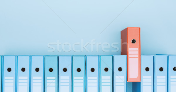Organizzato archivio anello fila uno rosso Foto d'archivio © stokkete
