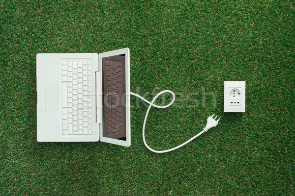 Alternatywa energii elektryczne moc gniazdo trawy Zdjęcia stock © stokkete