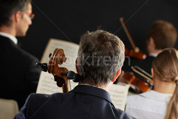 Muzyka klasyczna symfonia wiolonczelista pierwszy plan gry koncertu Zdjęcia stock © stokkete