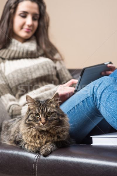 Ontspanning tijd vrouw ontspannen sofa kat Stockfoto © stokkete