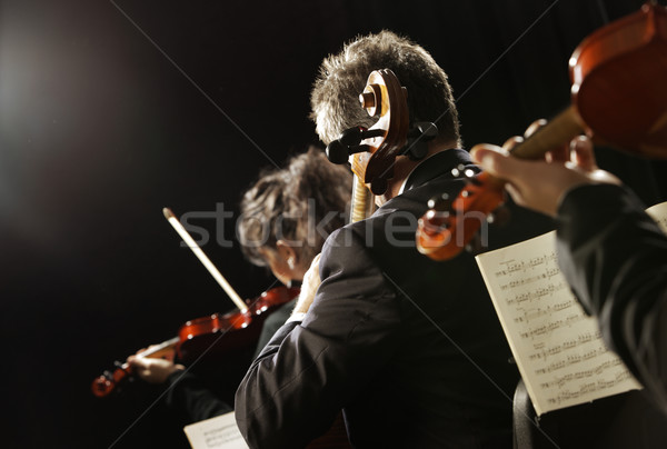 Klasszikus zene koncert szimfónia zene hegedűművész kéz Stock fotó © stokkete