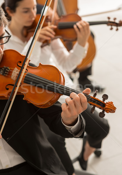 Orchestra string section performing Stock photo © stokkete