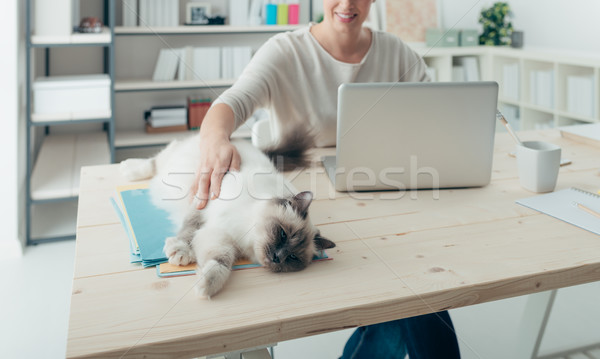 Nő macska fiatal nő otthon dolgozik asztal Stock fotó © stokkete