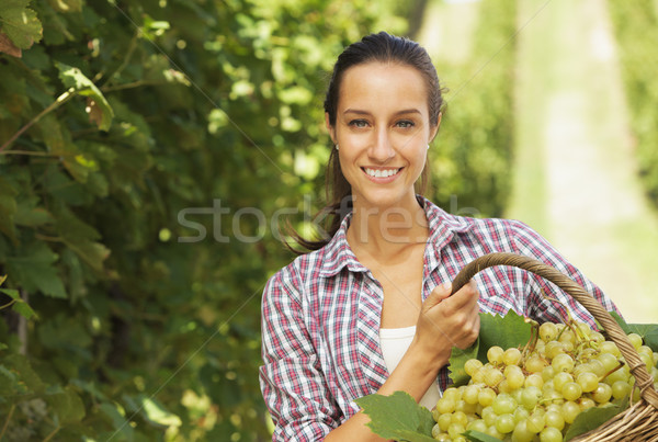 Stock fotó: Szőlőszüret · szőlő · szőlőskert · mosolygó · nő · kosár · fű