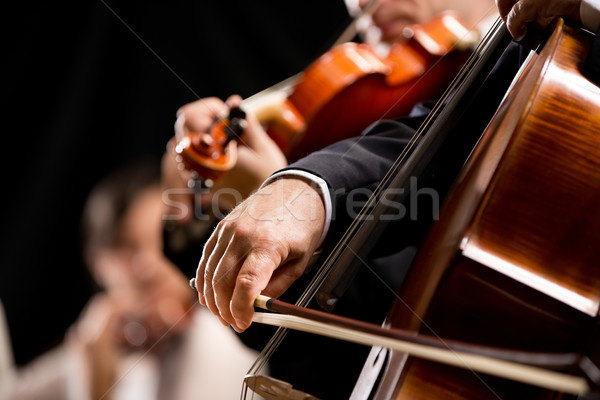 String orkest prestaties fase cello Stockfoto © stokkete