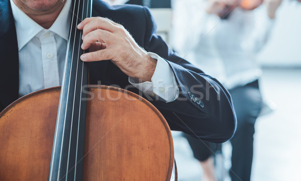 Profi cselló játékos előad egyéb zenészek Stock fotó © stokkete