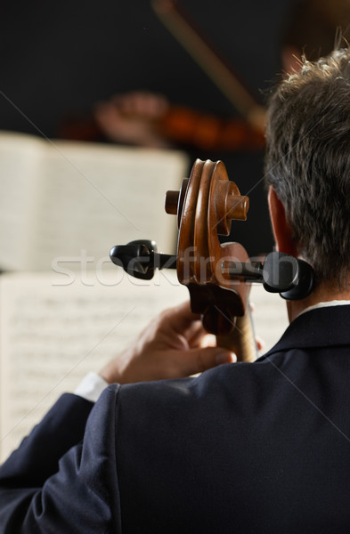 Música clássica sinfonia violoncelista primeiro plano jogar concerto Foto stock © stokkete