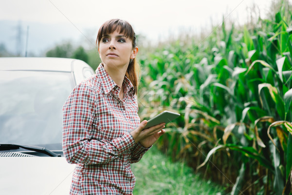 Frau verloren Landschaft jungen traurig Stock foto © stokkete