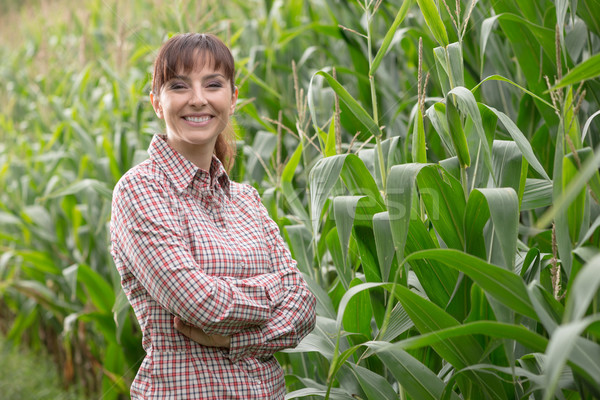Uśmiechnięty rolnik stwarzające kukurydza dziedzinie wesoły Zdjęcia stock © stokkete