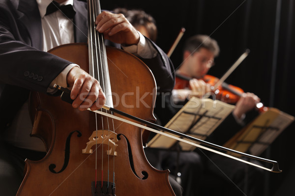Klasszikus zene csellista szimfónia koncert férfi játszik Stock fotó © stokkete