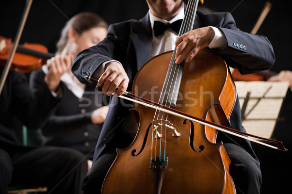 Simfonie orchestră performanţă violoncel profesional Imagine de stoc © stokkete