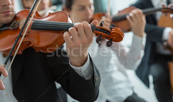 Orchestra string section performing Stock photo © stokkete