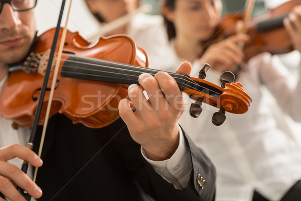 Orchestra string section performing Stock photo © stokkete