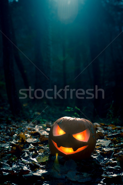 Halloween night Stock photo © stokkete