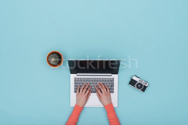 Lichtblauw werkruimte laptop digitale camera cactus Stockfoto © stokkete