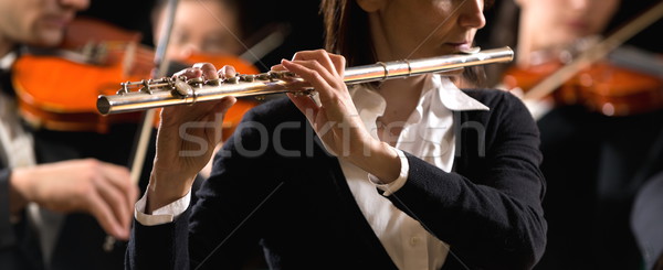 Symfonie orkest prestaties professionele vrouwelijke Stockfoto © stokkete