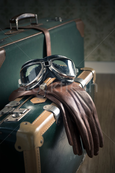 Jahrgang Gepäck Gläser Leder Handschuhe Koffer Stock foto © stokkete