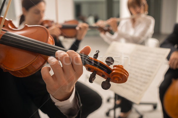 Violoniste musique fiche jouer instrument [[stock_photo]] © stokkete