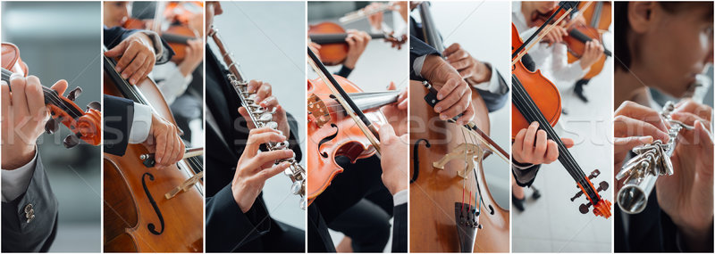 Klassische Musik Collage Bilder professionelle Musiker spielen Stock foto © stokkete