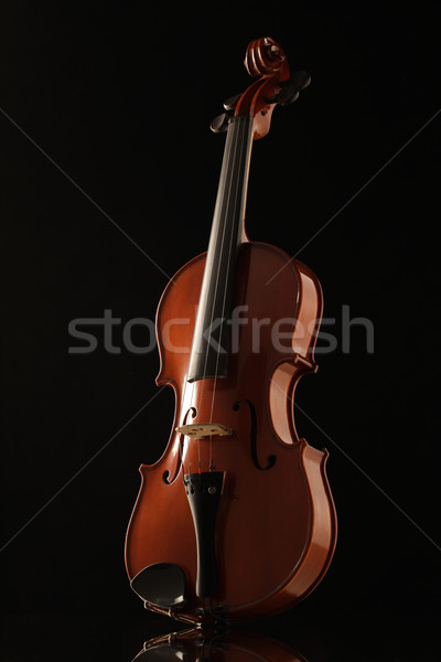 Violino elegante tiro preto música vermelho Foto stock © stokkete
