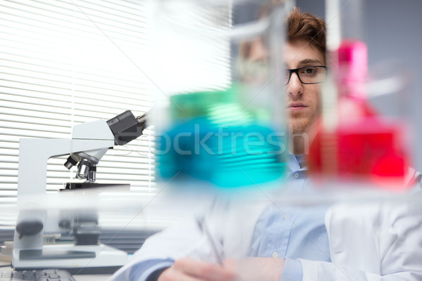 Researcher at work Stock photo © stokkete