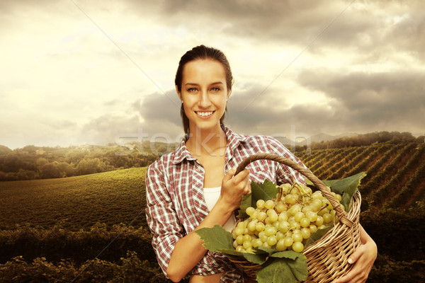 Stock fotó: Szőlőszüret · szőlő · szőlőskert · mosolygó · nő · kosár · fű