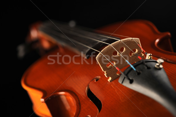 Erschossen Violine seicht tief Bereich Stock foto © stokkete