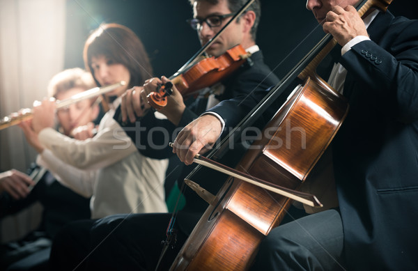 Muzica clasica concert simfonie orchestră etapă violoncel Imagine de stoc © stokkete