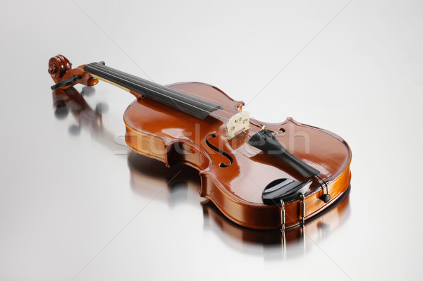 Violín elegante tiro música rojo elegancia Foto stock © stokkete