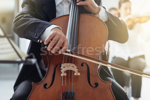 Profissional violoncelo jogador outro músicos Foto stock © stokkete