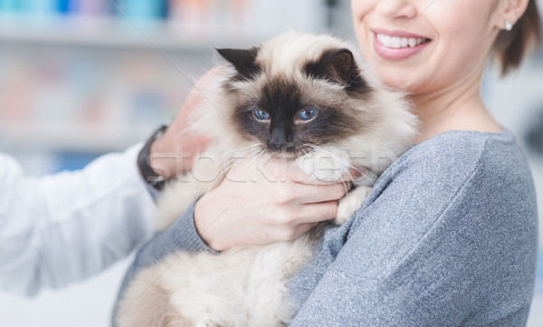 Femeie pisică veterinar clinică femeie zambitoare medic Imagine de stoc © stokkete